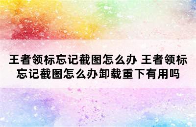 王者领标忘记截图怎么办 王者领标忘记截图怎么办卸载重下有用吗